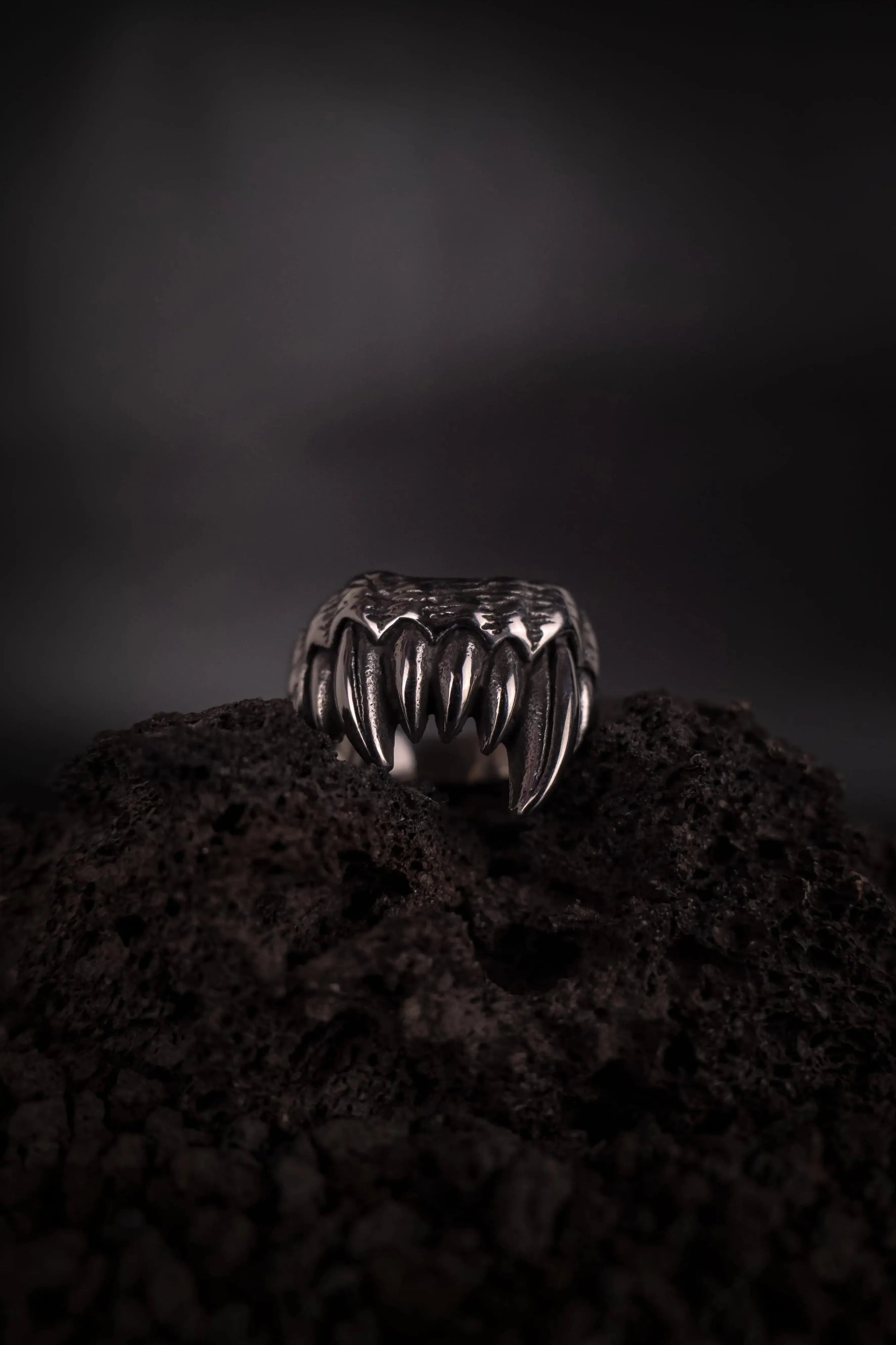 Bague dents de vampire, canine de vampire, bague. en acier inoxydable mixte. posé sur une roche volcanic 